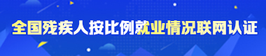 全國殘疾人按比例就業情況聯網認證